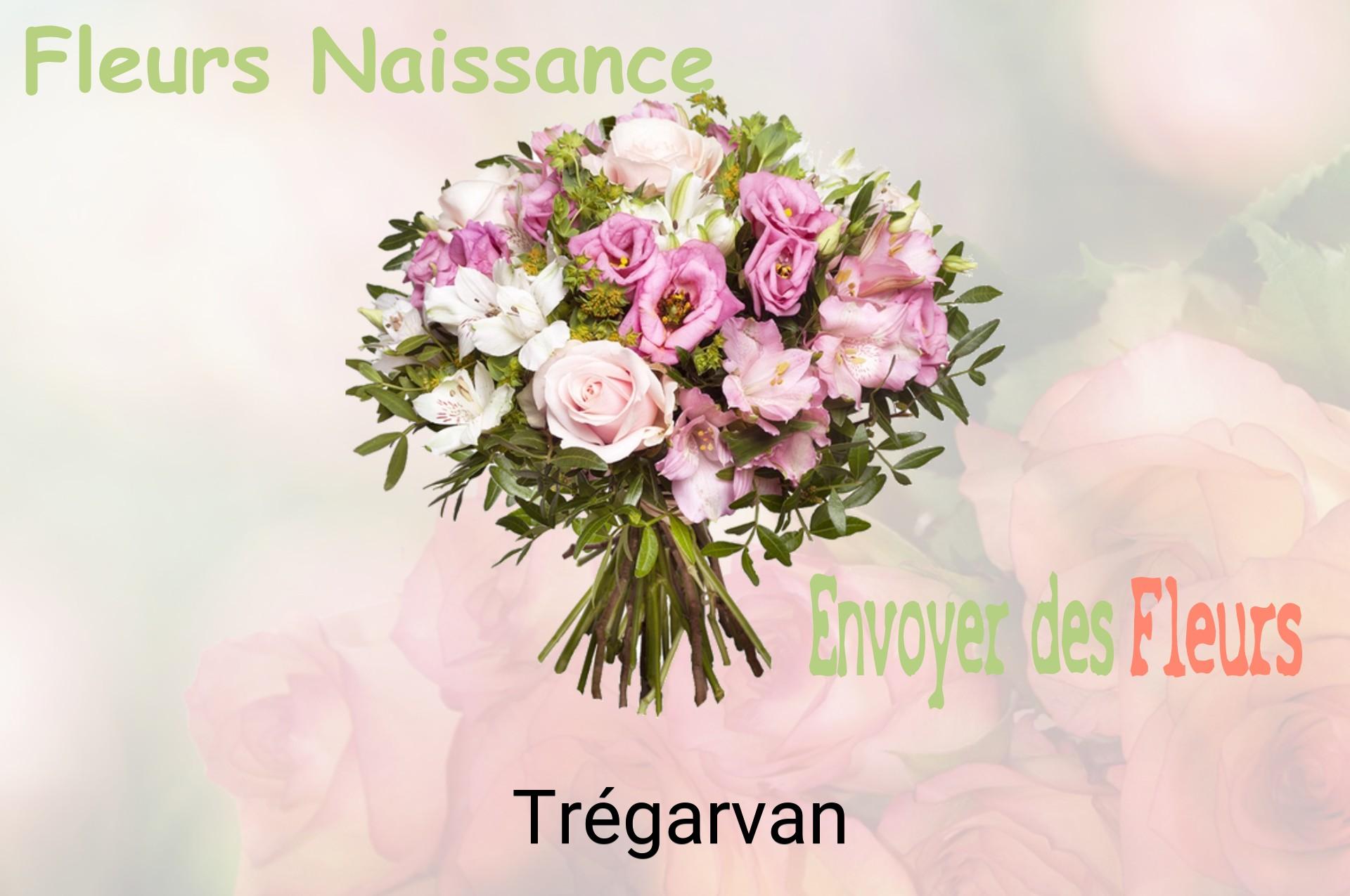 Bouquet de fleurs de naissance livré à Trégarvan